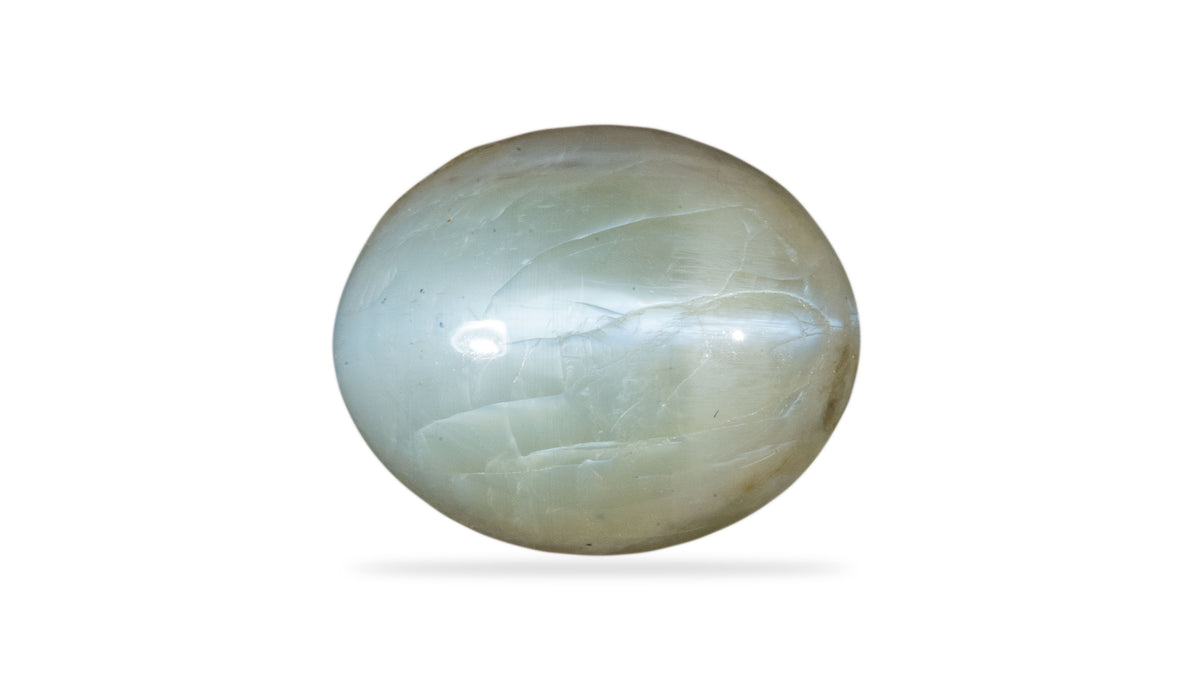 Cat's Eye (Lehsuniya) 8.07 Carats / 8.87 Ratti