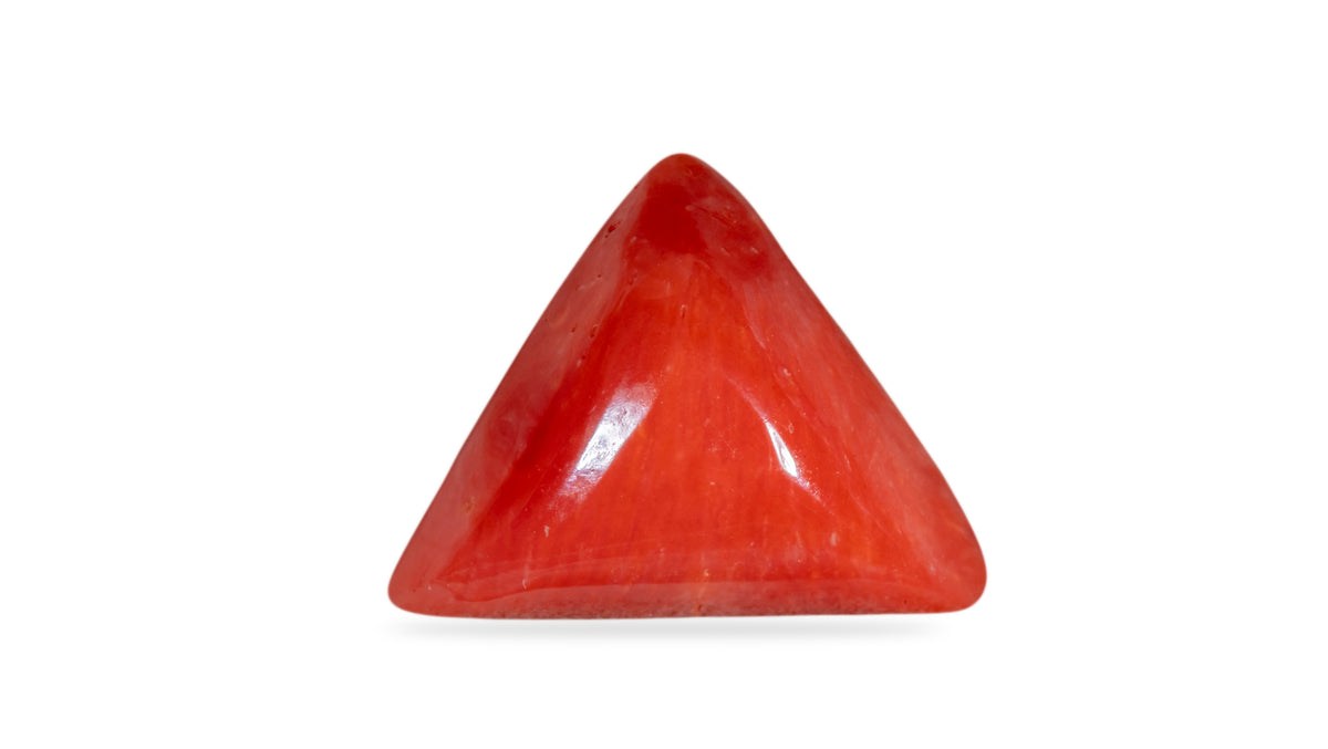 Italian Red Coral 6.19 Carats / 6.8 Ratti