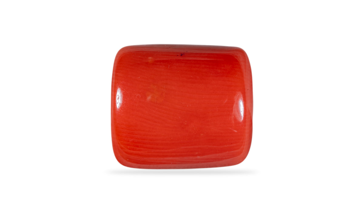 Italian Red Coral 13.95 Carats / 15.33 Ratti