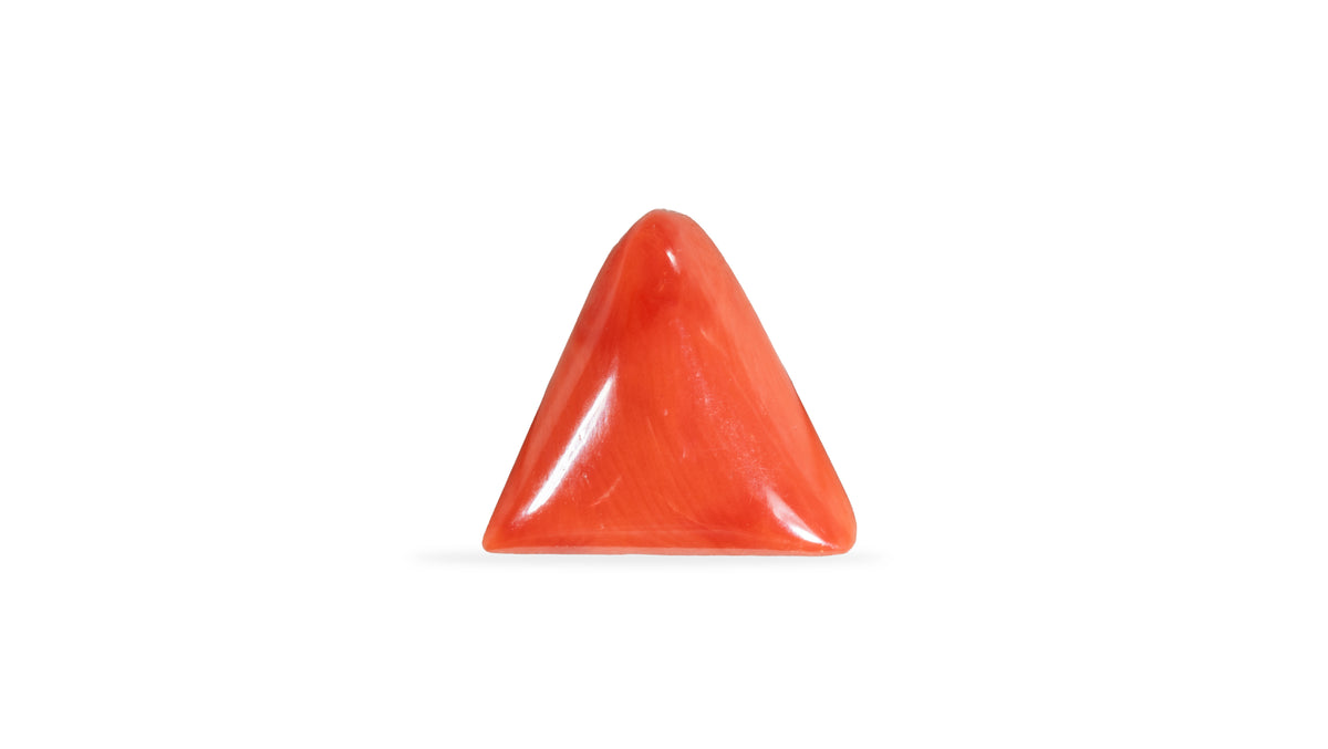 Italian Red Coral 5.94 Carats / 6.53 Ratti