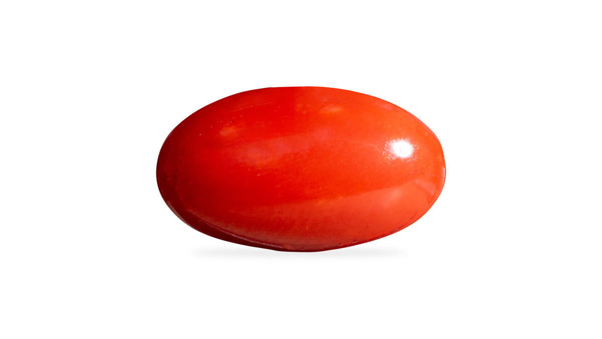 Japanese Red Coral 6.86 Carats / 7.54 Ratti