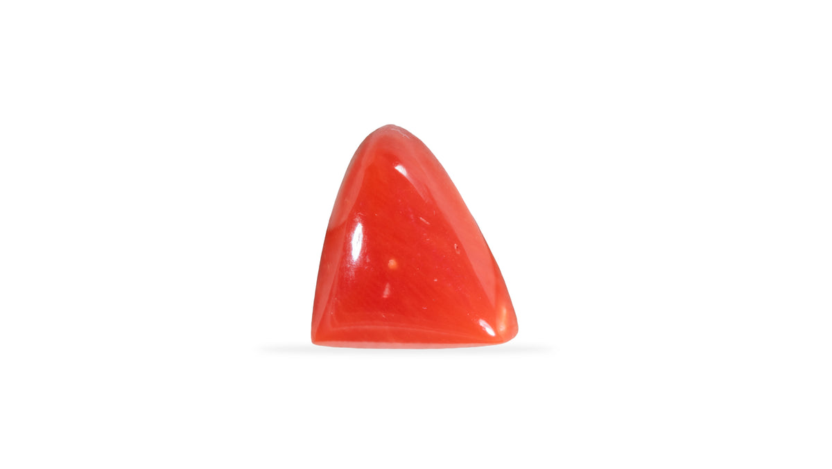 Italian Red Coral 5.32 Carats / 5.85 Ratti