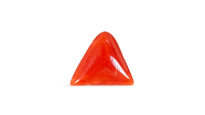 Italian Red Coral 5.06 Carats / 5.56 Ratti