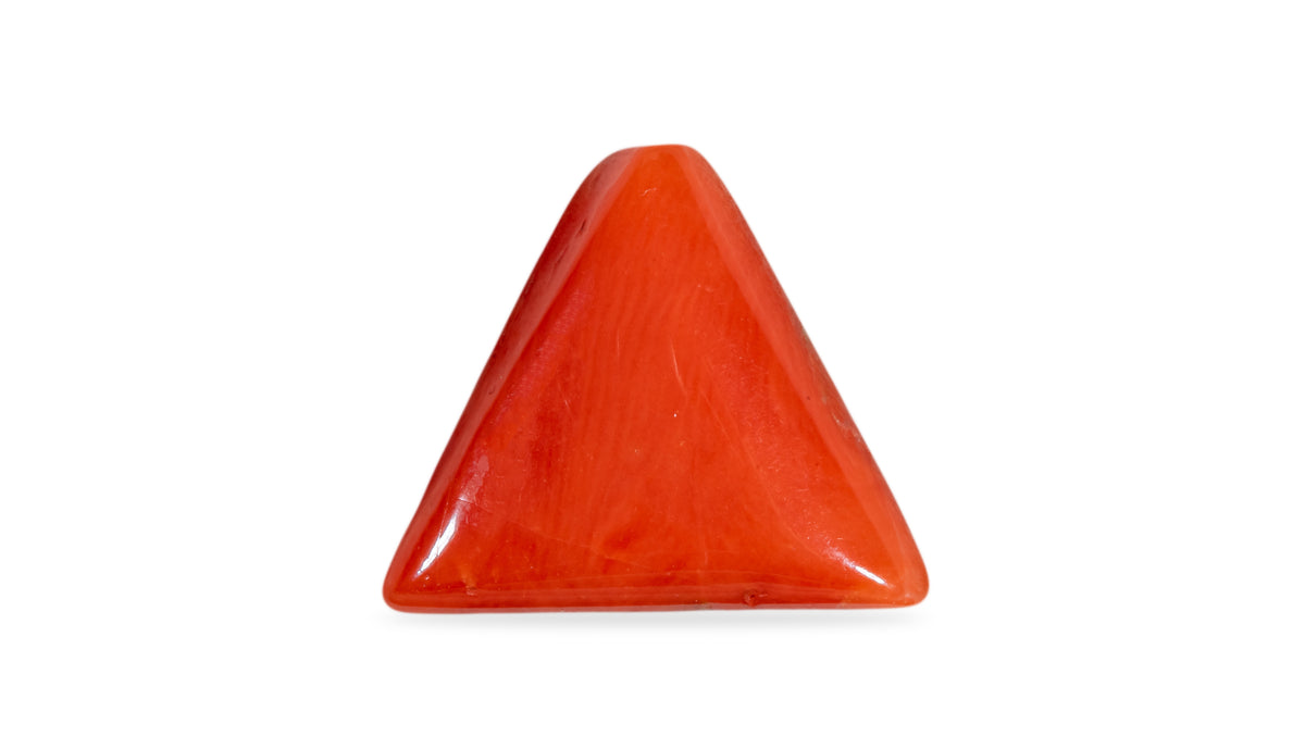 Italian Red Coral (Moonga) 6.92 Carats / 7.6 Ratti