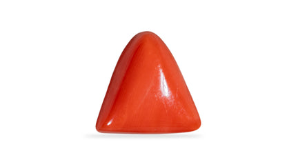 Italian Red Coral 6.52 Carats / 7.16 Ratti