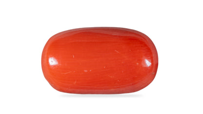 Italian Red Coral 9.55 Carats / 10.49 Ratti