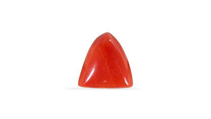 Italian Red Coral 6.13 Carats / 6.74 Ratti