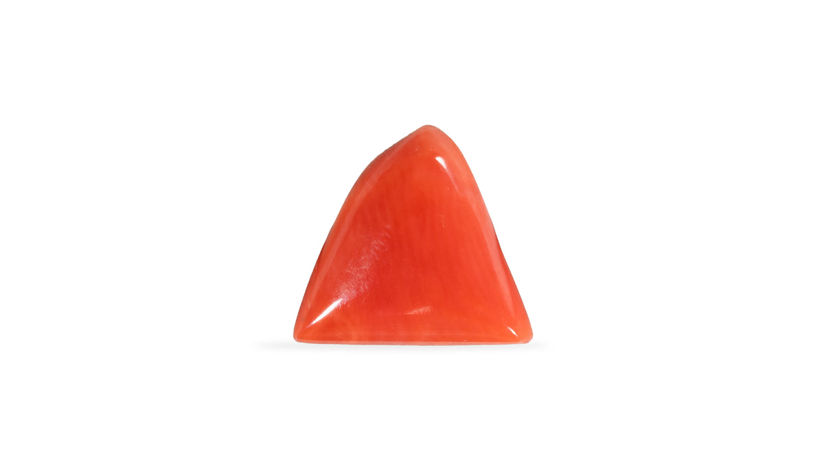 Italian Red Coral 4.93 Carats / 5.42 Ratti