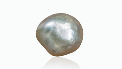 Venezuela Pearl4.10 Carats / 4.51 Ratti