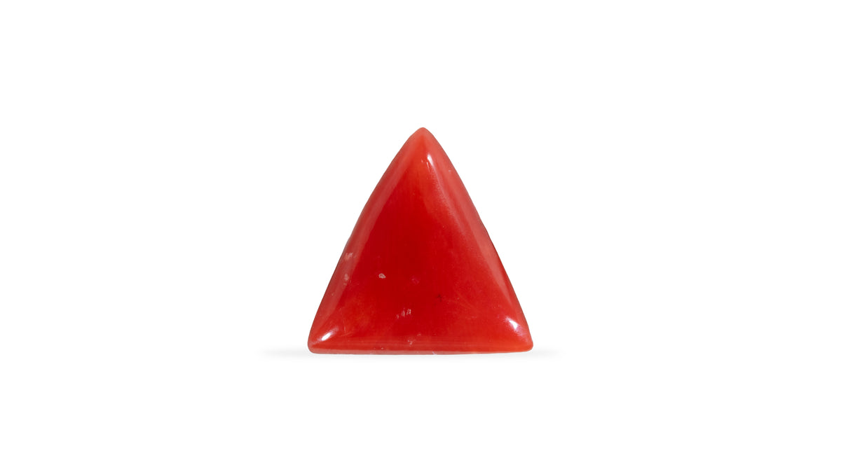 Italian Red Coral 5.26 Carats / 5.78 Ratti