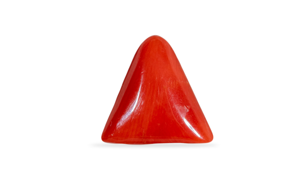 Italian Red Coral 6.95 Carats / 7.64 Ratti