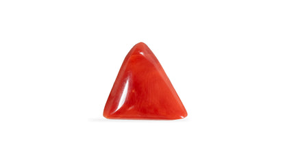 Italian Red Coral 5.29 Carats / 5.81 Ratti