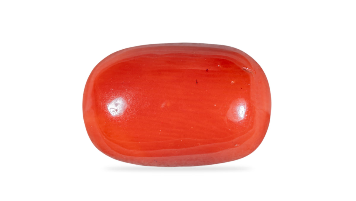 Italian Red Coral 10.68 Carats / 11.74 Ratti