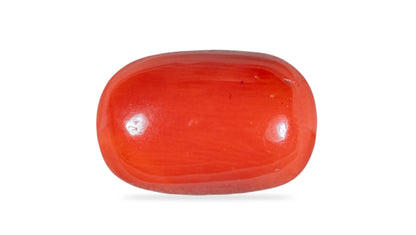 Italian Red Coral 10.68 Carats / 11.74 Ratti
