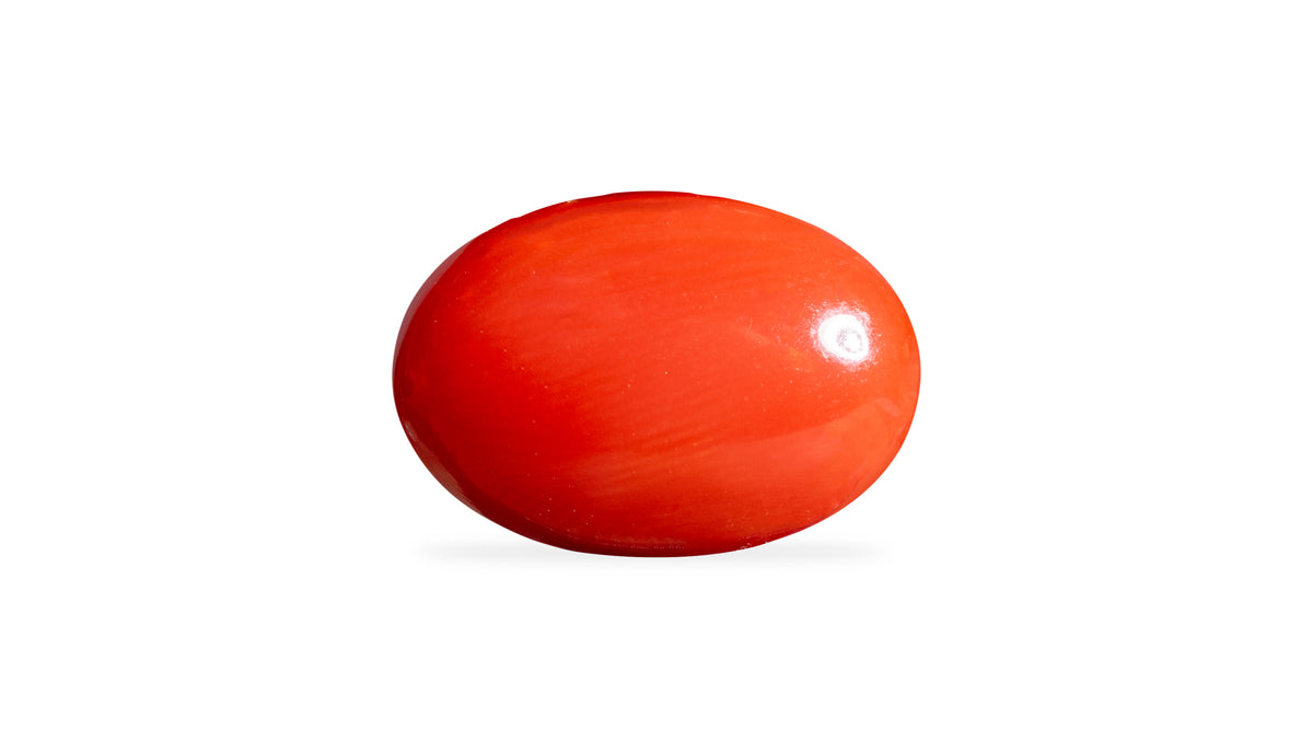 Japanese Red Coral 5.67 Carats / 6.23 Ratti