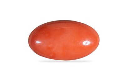 Japanese Red Coral 46.06 Carats / 50.62 Ratti