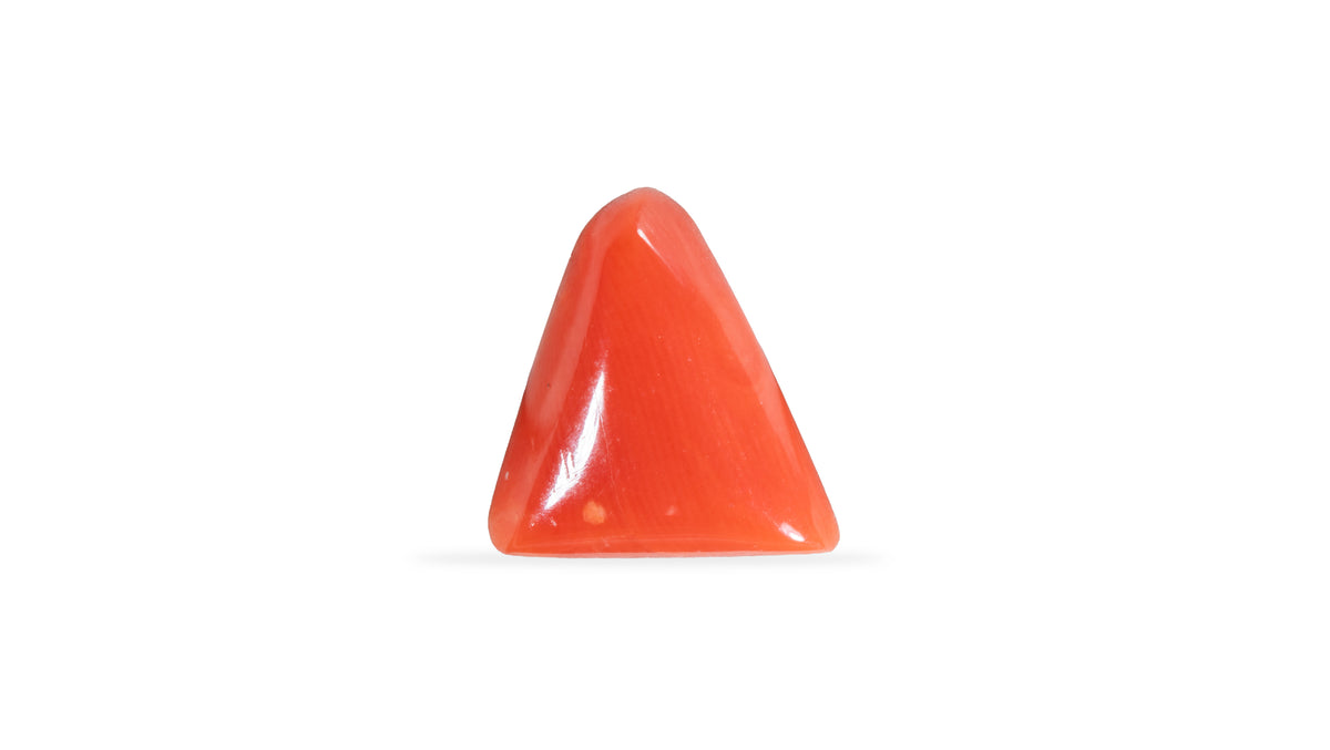 Italian Red Coral 6.06 Carats / 6.66 Ratti