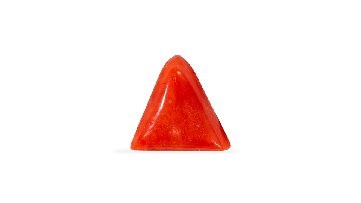 Italian Red Coral 5.24 Carats / 5.76 Ratti