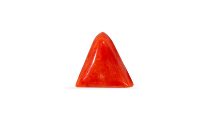 Italian Red Coral 5.24 Carats / 5.76 Ratti