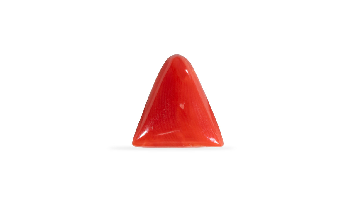 Italian Red Coral 5.70 Carats / 6.26 Ratti