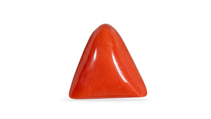 Italian Red Coral 6.75 Carats / 7.42 Ratti