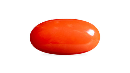 Japanese Red Coral 6.44 Carats / 7.08 Ratti