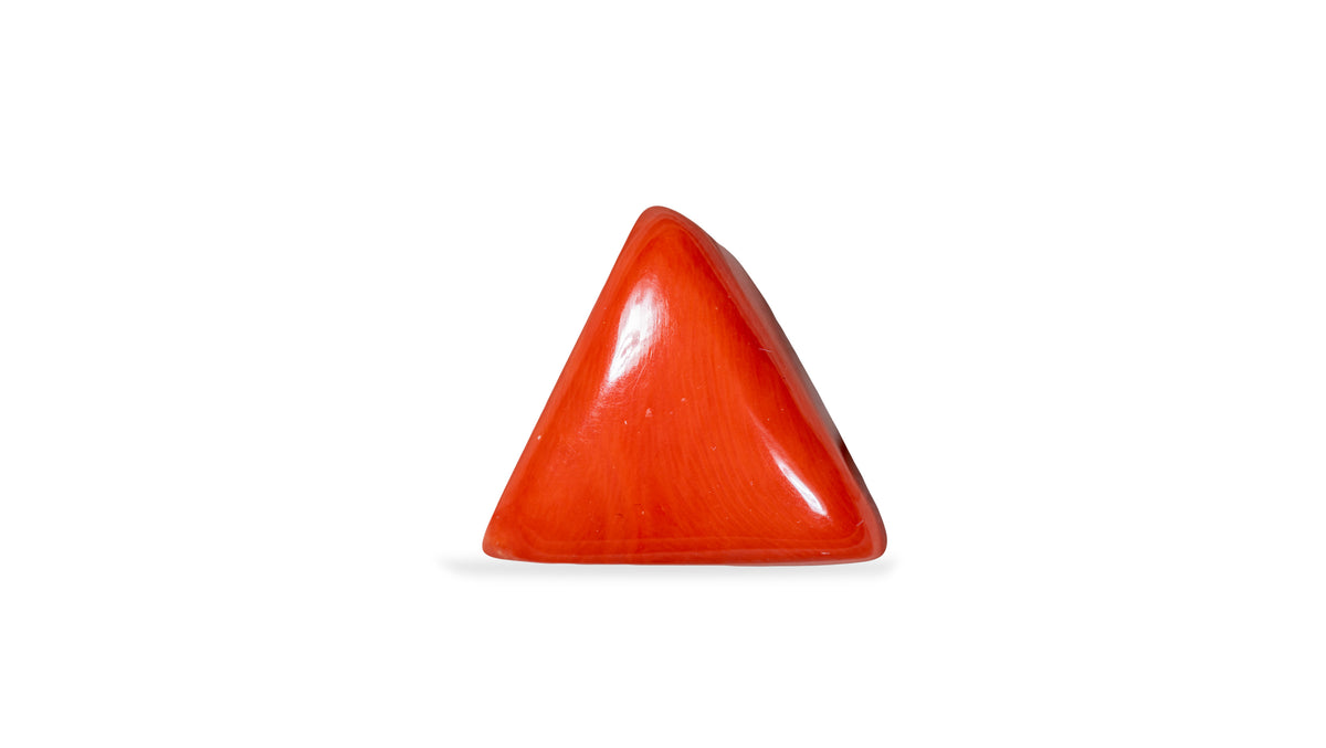Natural Red Coral 29.38 Carats / 32.29 Ratti