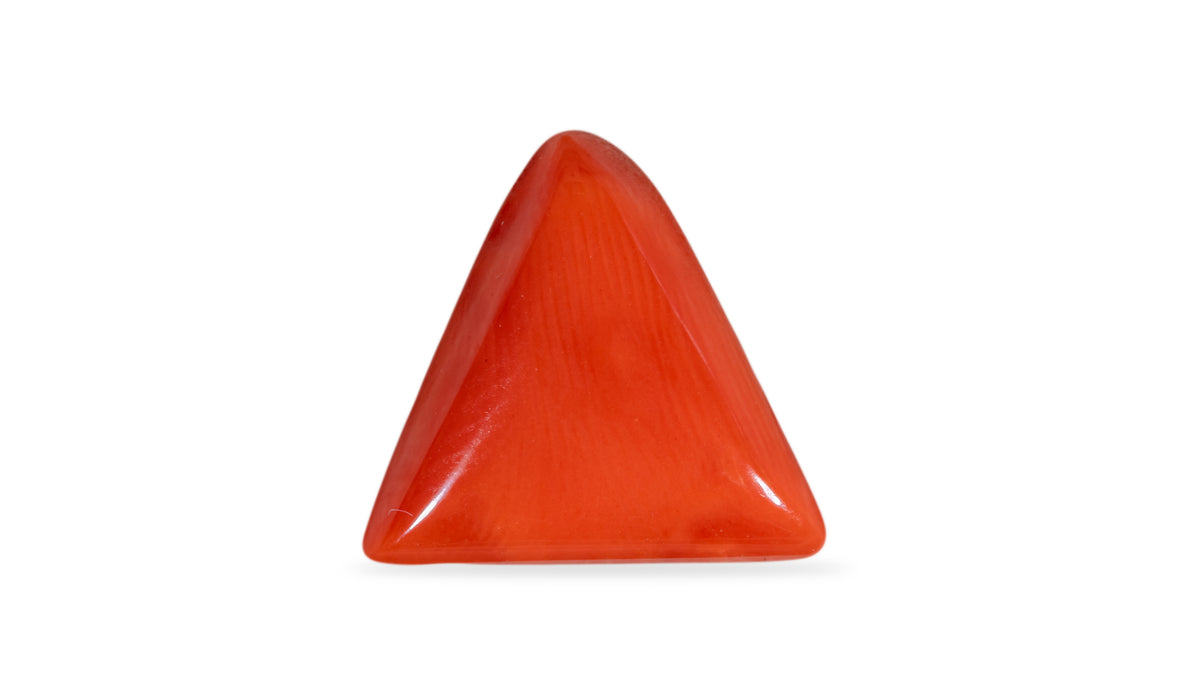 Italian Red Coral 6.23 Carats / 6.85 Ratti