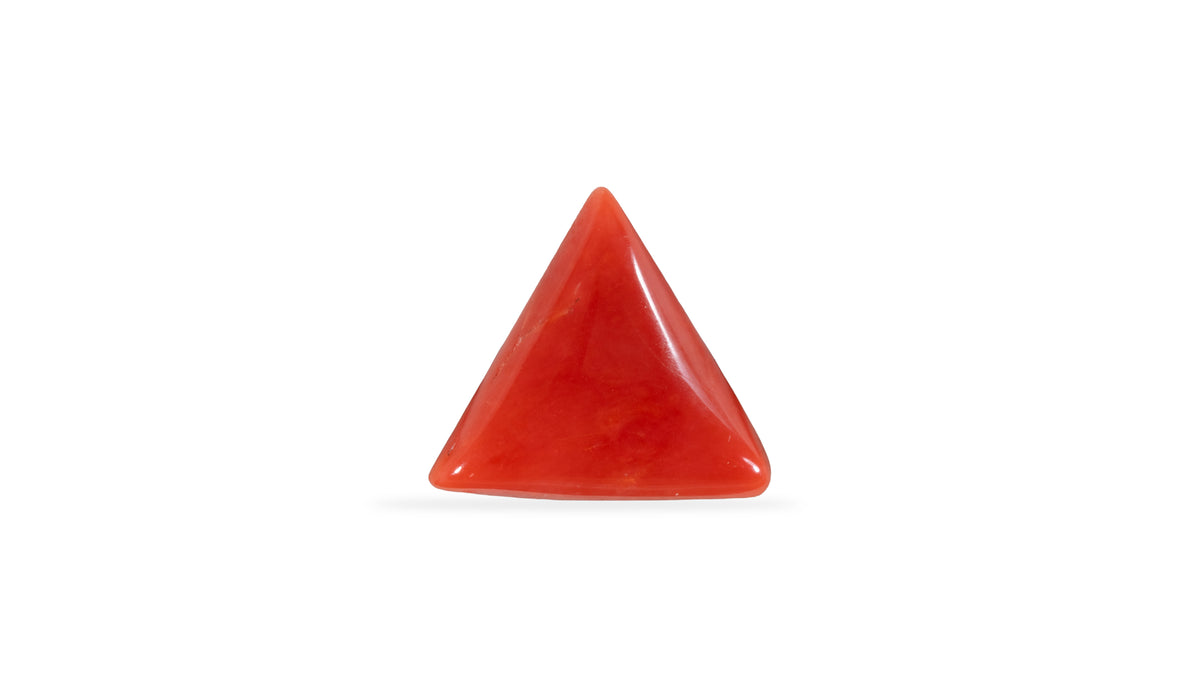 Italian Red Coral 5.99 Carats / 6.58 Ratti