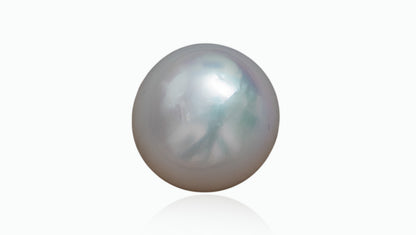 Venezuela Pearl8.96 Carats / 9.85 Ratti