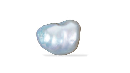 Venezuela Pearl12.30 Carats / 13.52 Ratti