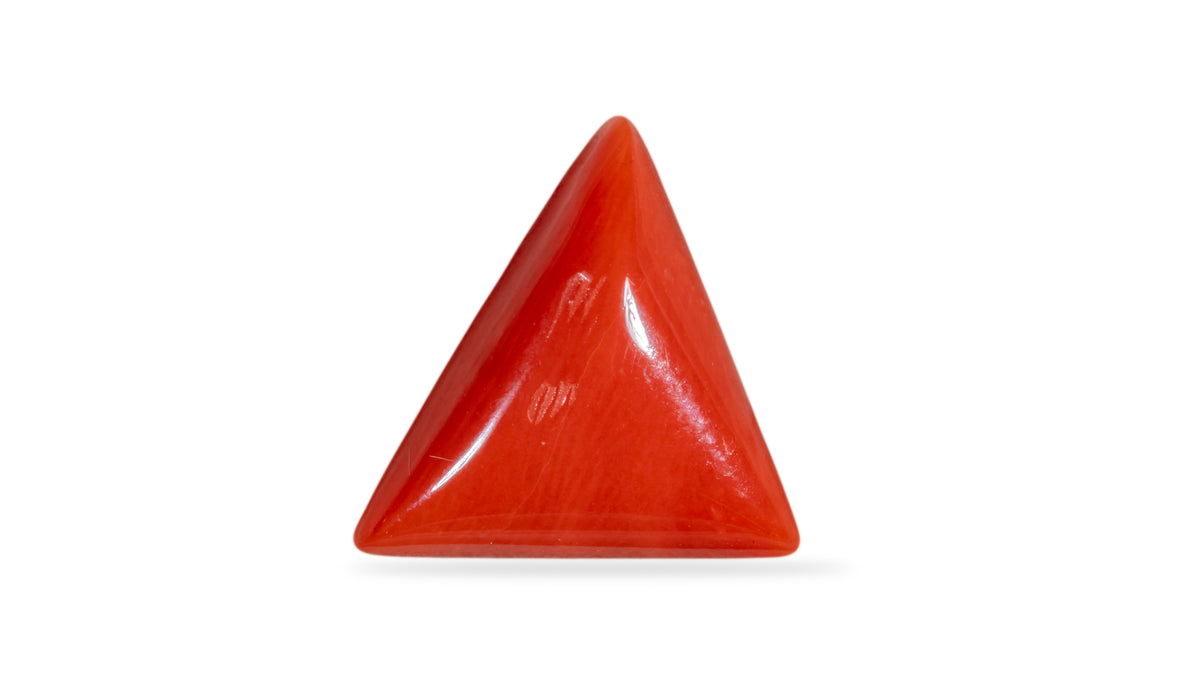 Italian Red Coral 6.27 Carats / 6.89 Ratti