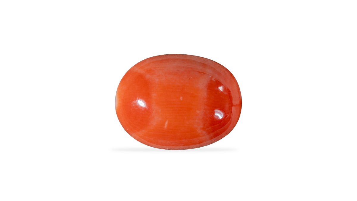 Japanese Red Coral 7.50 Carats / 8.24 Ratti
