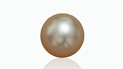 Venezuela Pearl4.02 Carats / 4.42 Ratti