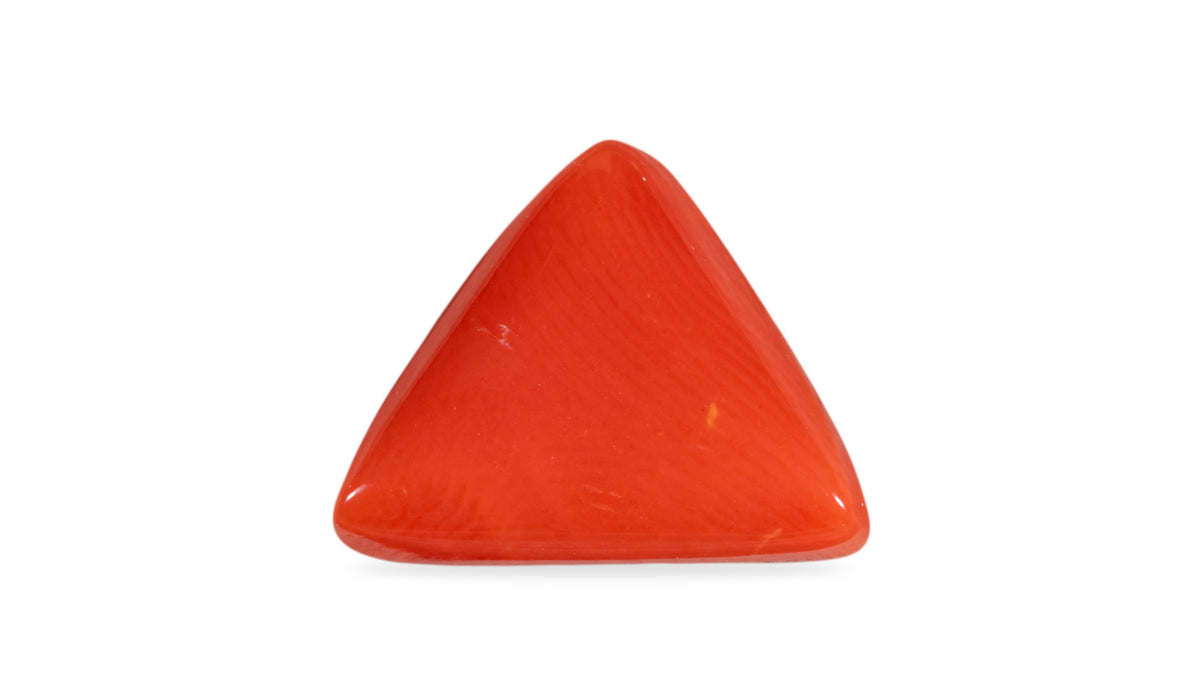 Italian Red Coral 7.05 Carats / 7.75 Ratti