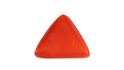 Italian Red Coral 7.05 Carats / 7.75 Ratti
