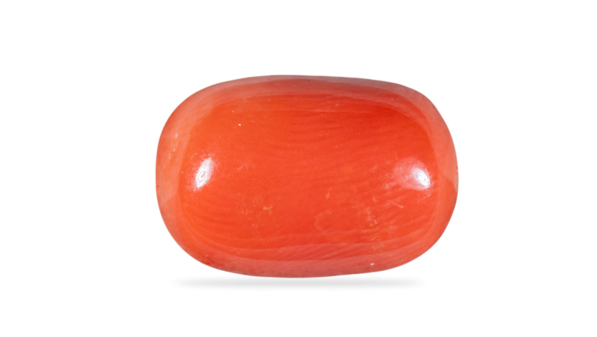 Italian Red Coral 10.59 Carats / 11.64 Ratti