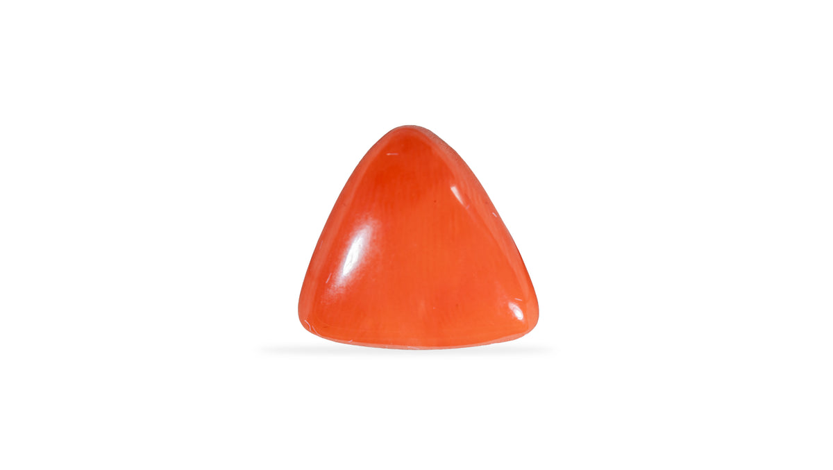 Italian Red Coral 9.02 Carats / 9.91 Ratti
