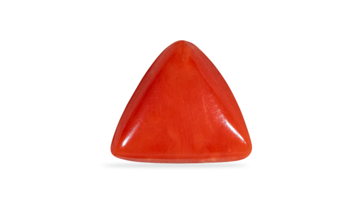 Italian Red Coral 6.22 Carats / 6.84 Ratti