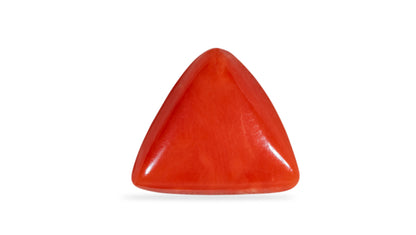 Italian Red Coral 6.22 Carats / 6.84 Ratti
