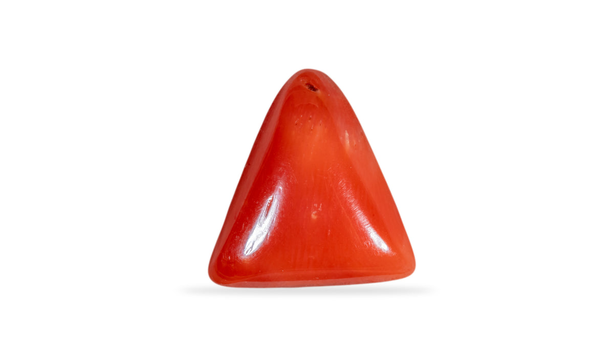 Italian Red Coral 5.22 Carats / 5.74 Ratti