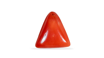 Italian Red Coral 5.22 Carats / 5.74 Ratti