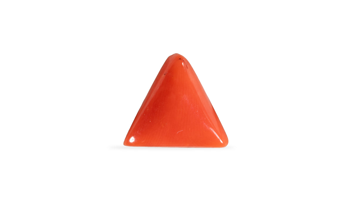 Italian Red Coral 5.94 Carats / 6.53 Ratti