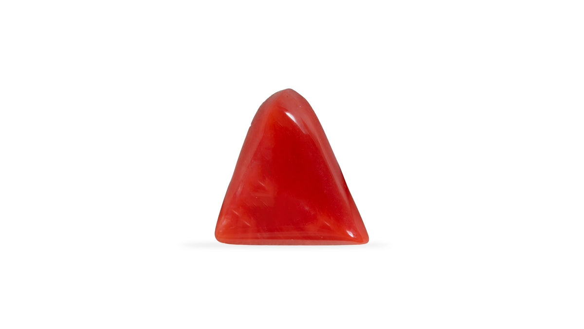 Italian Red Coral 5.75 Carats / 6.32 Ratti