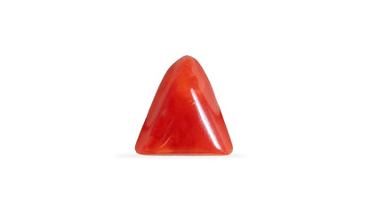 Italian Red Coral 5.79 Carats / 6.36 Ratti