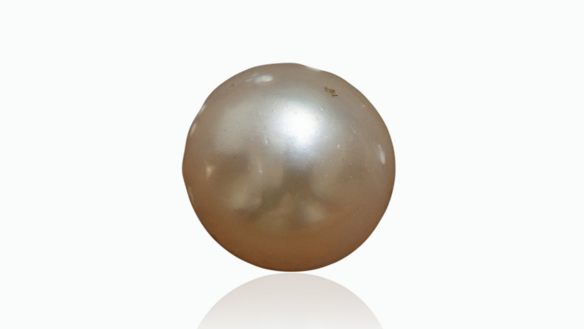 Venezuela Pearl4.80 Carats / 5.27 Ratti