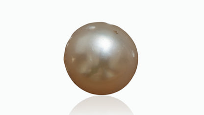 Venezuela Pearl4.80 Carats / 5.27 Ratti