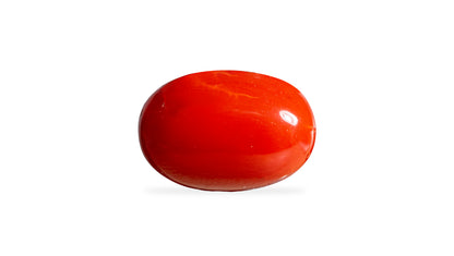 Japanese Red Coral 8.62 Carats / 9.47 Ratti