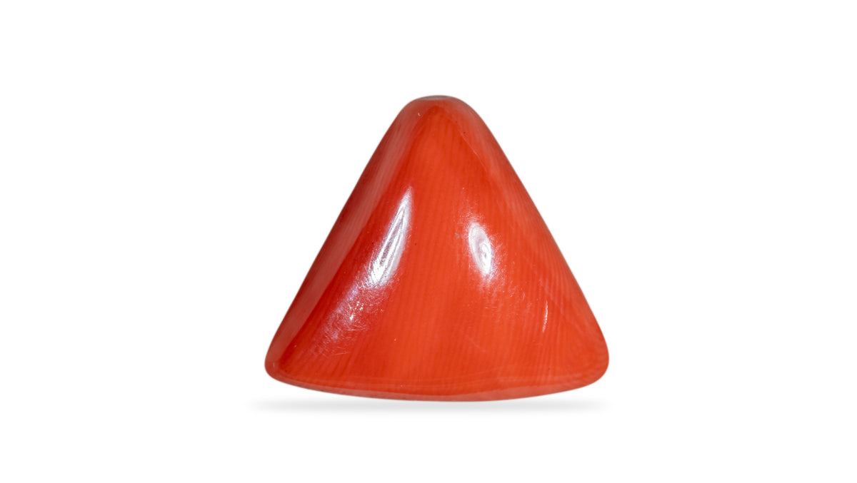 Italian Red Coral 9.67 Carats / 10.63 Ratti