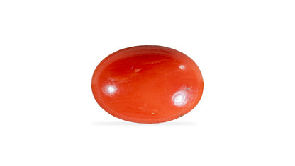 Japanese Red Coral 4.21 Carats / 4.63 Ratti